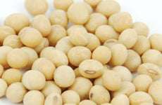 Soya Beans (Australian)