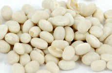 Navy Beans (Harricot)