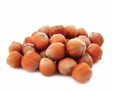 Hazelnuts in the Shell