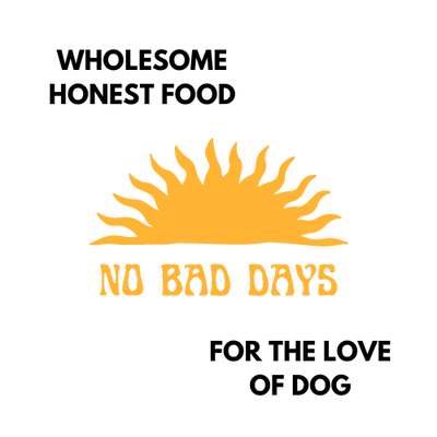 Local Company Spotlight - No Bad Days