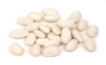 White Great Northern Bean