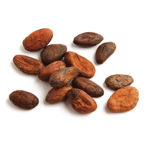 Organic Cacao Beans (Organic)