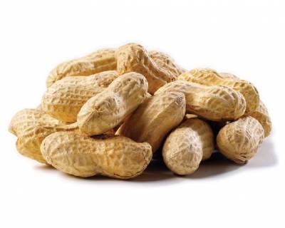 Peanuts Roasted in the Shell