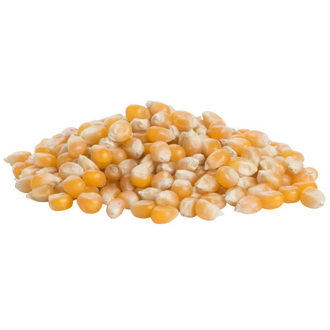 Popcorn (Organic)